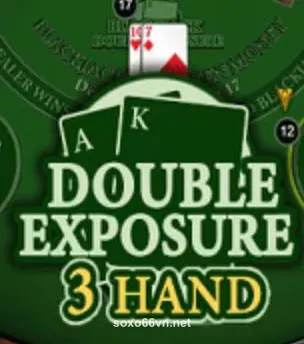 BlackJack3HDoubleExposure_d